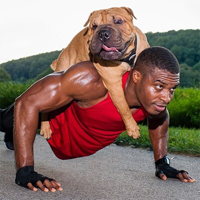 Image montrant un homme faisant des pompes avec un gros chien sur le dos
