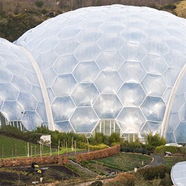 Bubble Domes